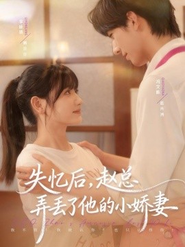 失憶后，趙總弄丟了他的小嬌妻(全集)