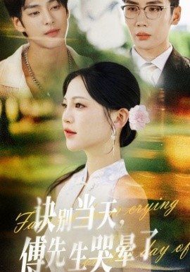 訣別當天傅先生哭暈了(全集)