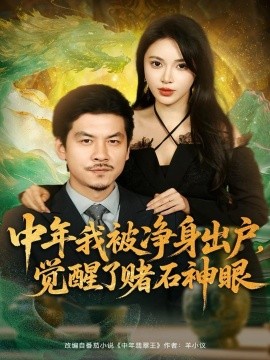 中年我被凈身出戶，覺醒了賭石神眼(全集)