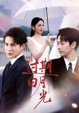 過(guò)期白月光(全集)