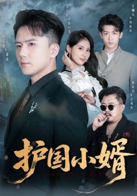 護(hù)國(guó)小婿(全集)