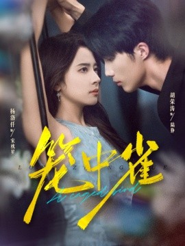 籠中雀短劇(全集)