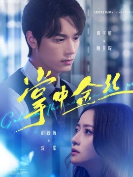 掌中金絲 長(zhǎng)姐她竟是隱藏大佬(全集)