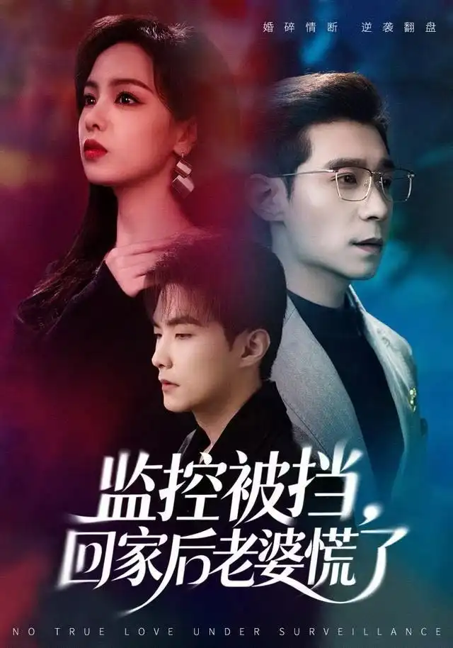 監(jiān)控被擋，回家后老婆慌了(全集)