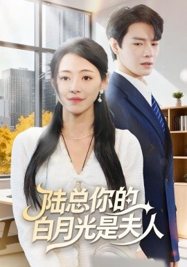 陸總你的白月光是夫人(全集)