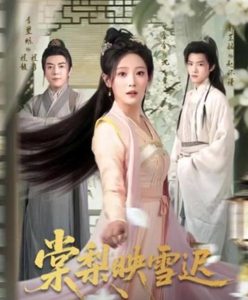 棠梨映雪遲(全集)