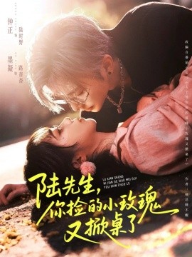 陸先生，你撿的小玫瑰又掀桌了(全集)