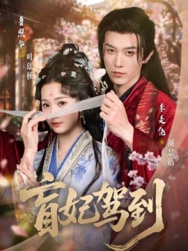 盲妃駕到(全集)