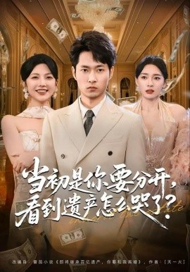 當(dāng)初是你要分開，看到遺產(chǎn)怎么哭了？(全集)
