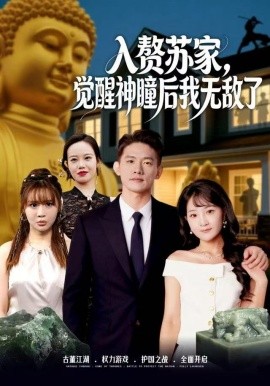 入贅蘇家，覺醒神瞳后我無敵了(全集)