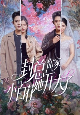 封總，你家小白花她開(kāi)大了(全集)