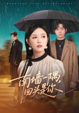 南墻一隅，回頭是你(全集)