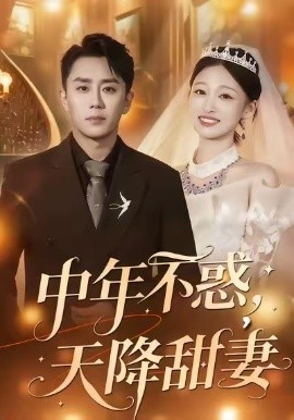中年不惑，天降甜妻(全集)