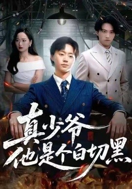 真少爺他是個(gè)白切黑(全集)