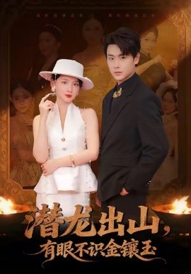 潛龍出山有眼不識金鑲玉(全集)