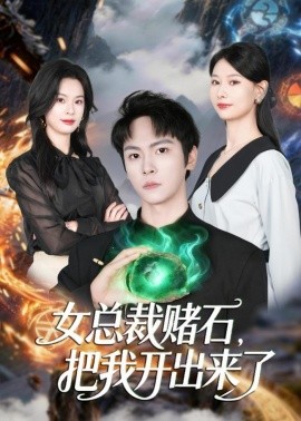 女總裁賭石，把我開出來了(全集)