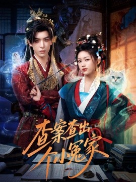 查案查出個(gè)小冤家(全集)