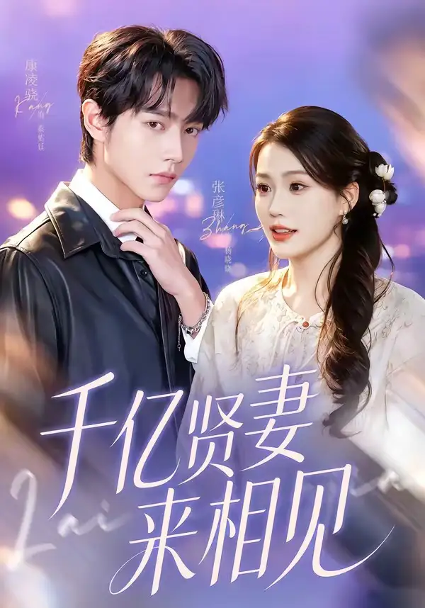 鉆石賢妻來相見 千億賢妻來相見(全集)