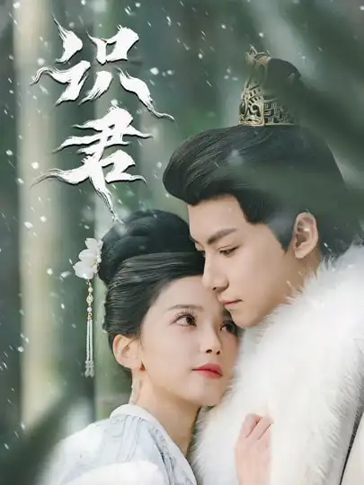 識君(全集)
