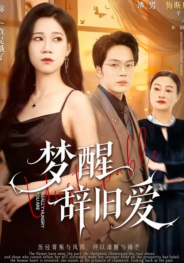 夢醒辭舊愛(全集)