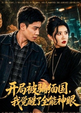 開局被騙緬國，我覺醒了全能神眼(全集)