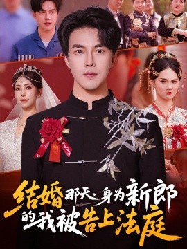 結(jié)婚那天，身為新郎的我被告上法庭(全集)