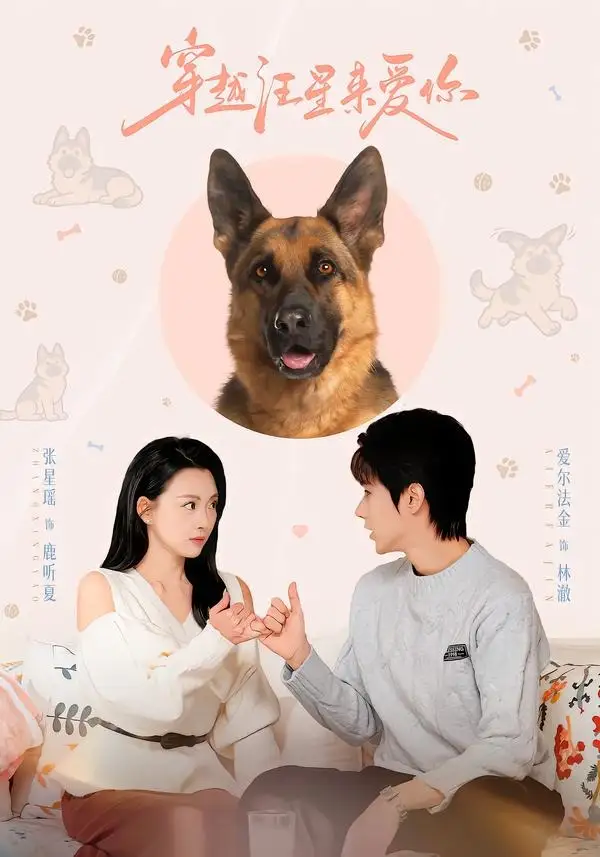 穿越汪星來(lái)愛(ài)你(全集)