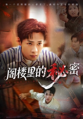 閣樓里的秘密(全集)