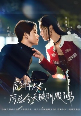 彪悍太太，厲總今天被馴服了嗎(全集)