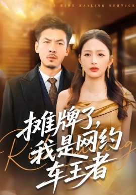 攤牌了，我是網約車王者(全集)