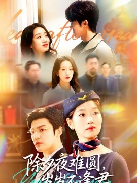 除夕夜難圓，歲歲不逢君(全集)