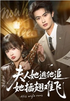 夫人她逃他追，她插翅難飛(全集)