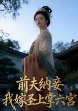 前夫納妾，我嫁圣上掌六宮(全集)