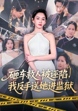 砸車救人被誣陷，我反手送她進(jìn)監(jiān)獄(全集)