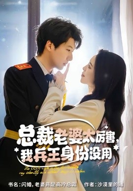 總裁老婆太厲害，我兵王身份沒用(全集)