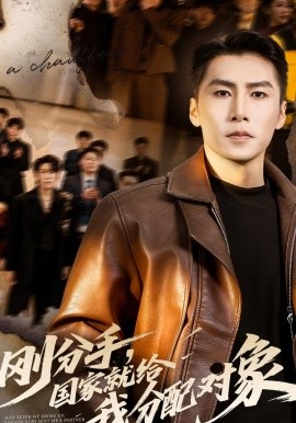 剛分手，國家就給我分配對象(全集)