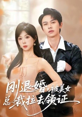 剛退婚，被美女總裁拉去領(lǐng)證(全集)