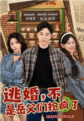 逃婚，不，是岳父們搶瘋了(全集)