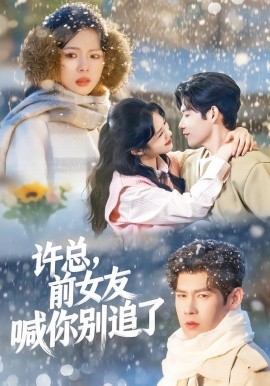 許總，前女友喊你別追了(全集)