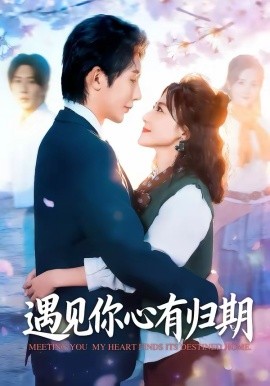 遇見你心有歸期(全集)
