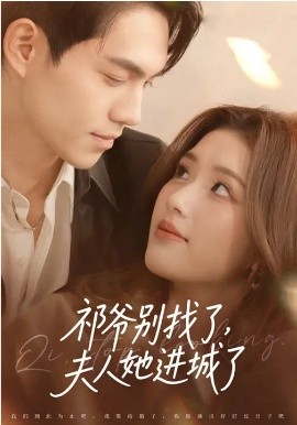 祁爺別找了，夫人她進(jìn)城了(全集)