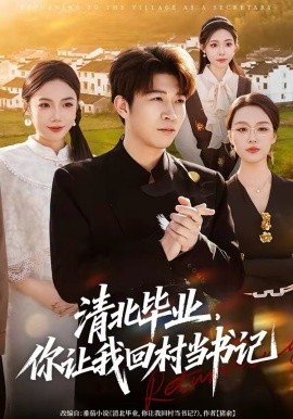 清北畢業(yè)，你讓我回村當(dāng)書記(全集)