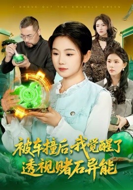 被車撞后，我覺醒了透視賭石異能了(全集)