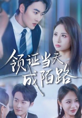 領證當天成陌路(全集)