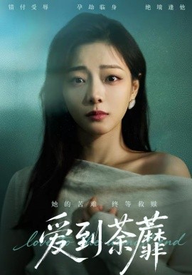 愛(ài)到荼蘼(全集)