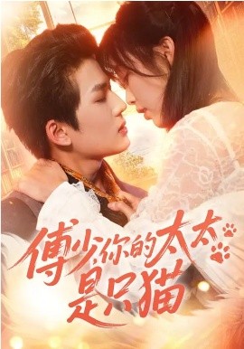 傅少，你的太太是只貓(全集)