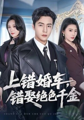 上錯(cuò)婚車，錯(cuò)娶絕色千金(全集)