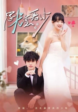 驚！我家來(lái)福變惡少了 忠犬變惡少(全集)