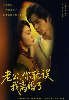 老公，你耽誤我離婚了(全集)