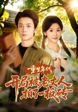 重生年代開局被老丈人拍了一板磚(全集)